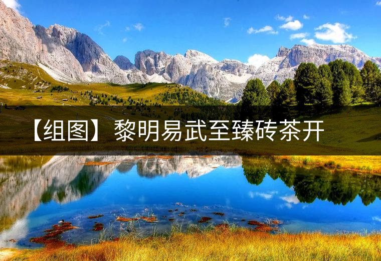 【組圖】黎明易武至臻磚茶開湯 【組圖】黎明易武至臻磚茶開湯