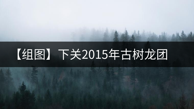 【組圖】下關(guān)2015年古樹龍團(tuán)茶開湯 【組圖】下關(guān)2015年古樹龍團(tuán)茶開湯