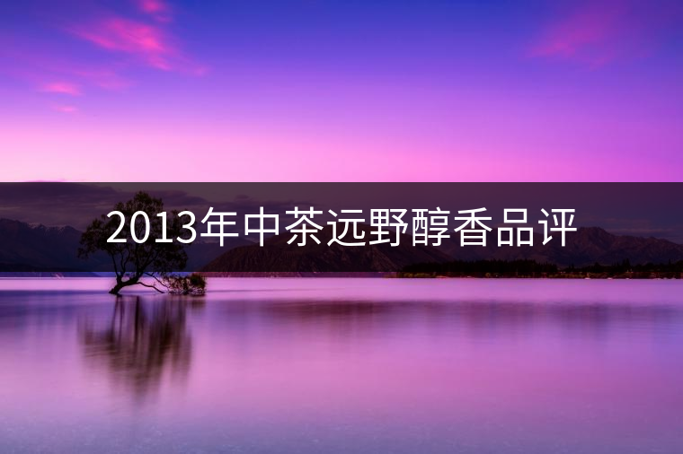 2013年中茶遠(yuǎn)野醇香品評(píng) 2013年中茶遠(yuǎn)野醇香品評(píng)