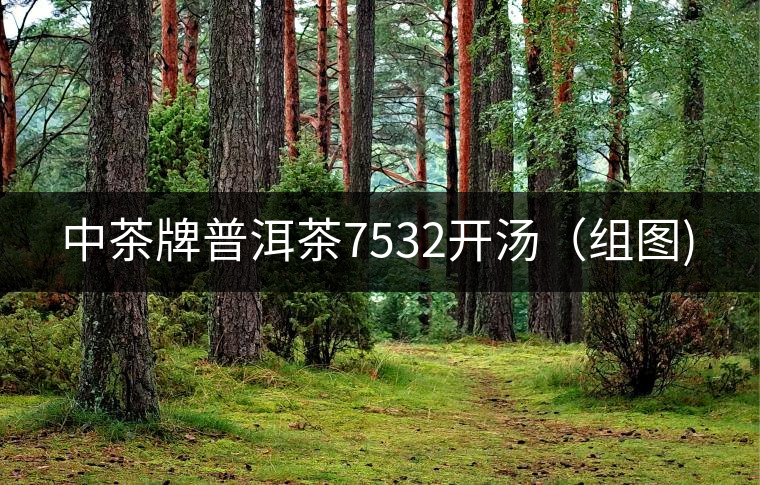中茶牌普洱茶7532開(kāi)湯（組圖)