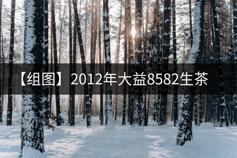 【組圖】2012年大益8582生茶開(kāi)湯