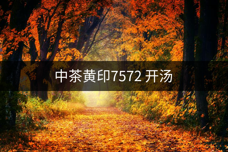 中茶黃印7572 開(kāi)湯