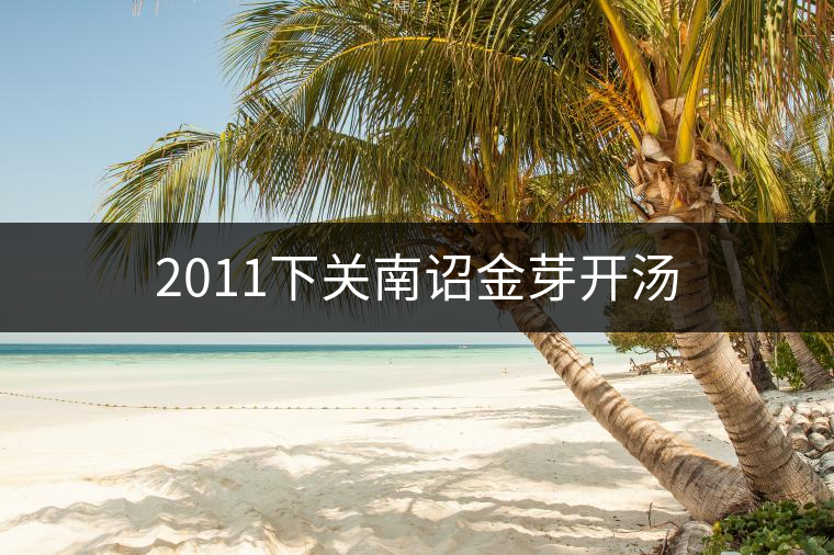 2011下關南詔金芽開湯 2011下關南詔金芽開湯