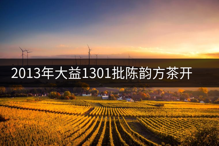 2013年大益1301批陳韻方茶開(kāi)湯品鑒 2013年大益1301批陳韻方茶開(kāi)湯品鑒