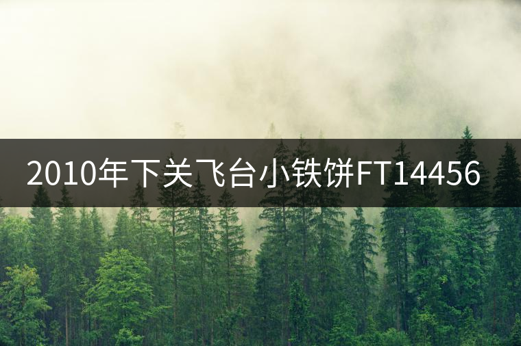 2010年下關飛臺小鐵餅FT14456開湯 2010年下關飛臺小鐵餅FT14456開湯