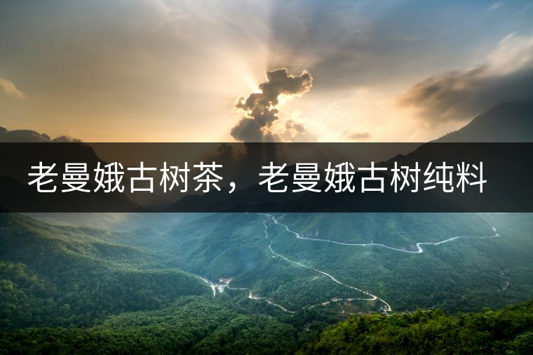 老曼娥古樹(shù)茶，老曼娥古樹(shù)純料生餅