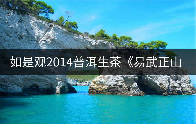 如是觀2014普洱生茶《易武正山》奶香餅 開湯試飲