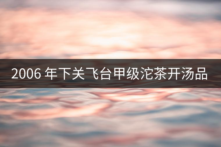 2006 年下關(guān)飛臺(tái)甲級(jí)沱茶開湯品鑒