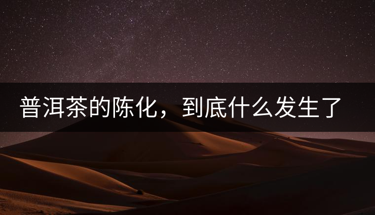 普洱茶的陳化，到底什么發(fā)生了哪些變化？