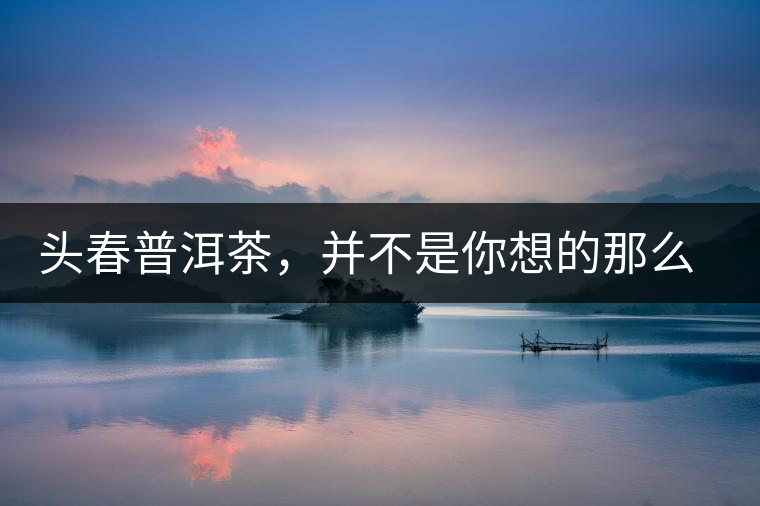 頭春普洱茶，并不是你想的那么好