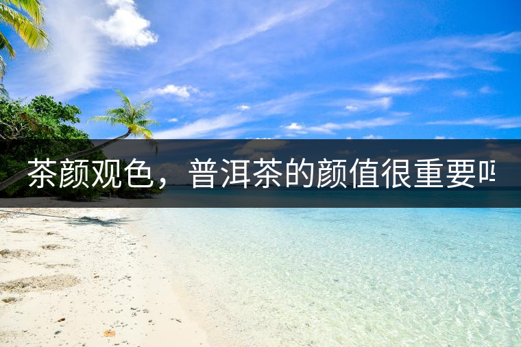 茶顏觀色，普洱茶的顏值很重要嗎？