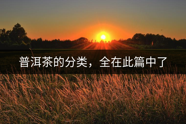 普洱茶的分類，全在此篇中了