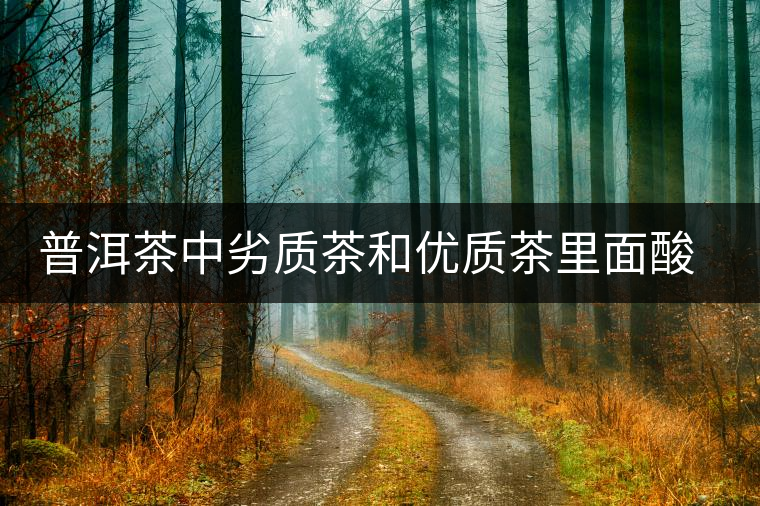 普洱茶中劣質(zhì)茶和優(yōu)質(zhì)茶里面酸味有什么區(qū)別 普洱茶中劣質(zhì)茶和優(yōu)質(zhì)茶里面酸味有什么區(qū)別