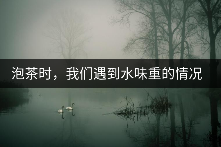 泡茶時，我們遇到水味重的情況是怎么回事呢?