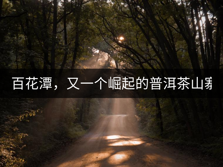 百花潭，又一個崛起的普洱茶山寨！