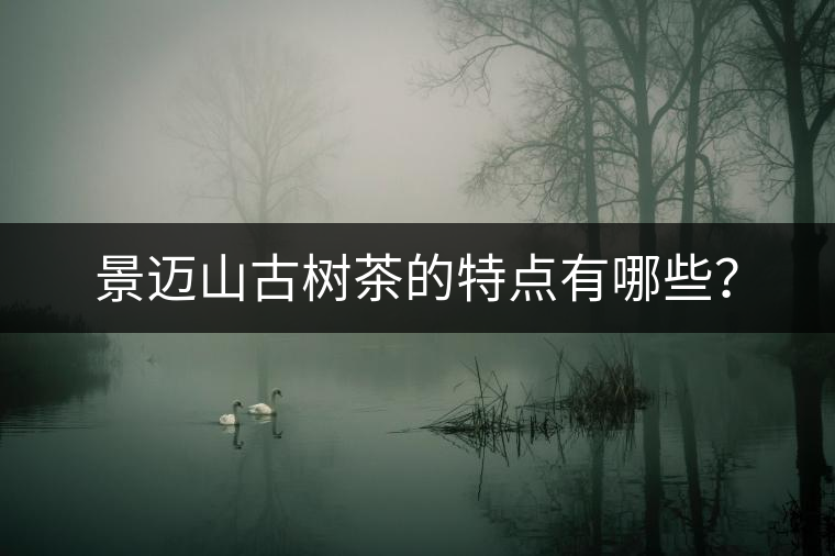 景邁山古樹茶的特點有哪些？