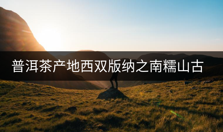 普洱茶產(chǎn)地西雙版納之南糯山古茶山 普洱茶產(chǎn)地西雙版納之南糯山古茶山