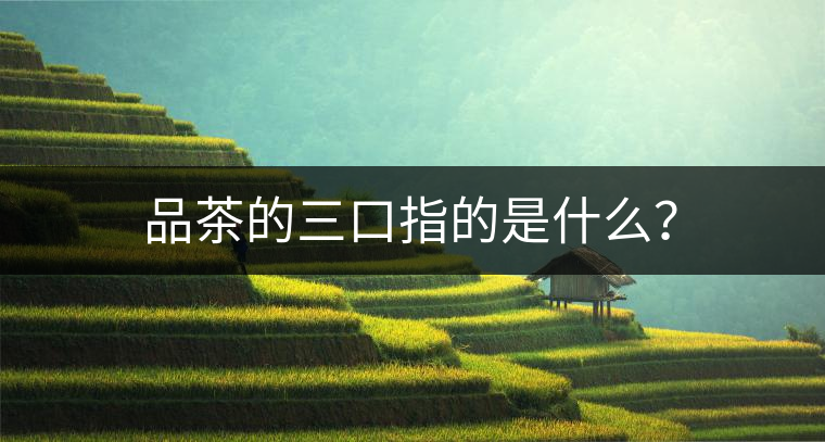 品茶的三口指的是什么？