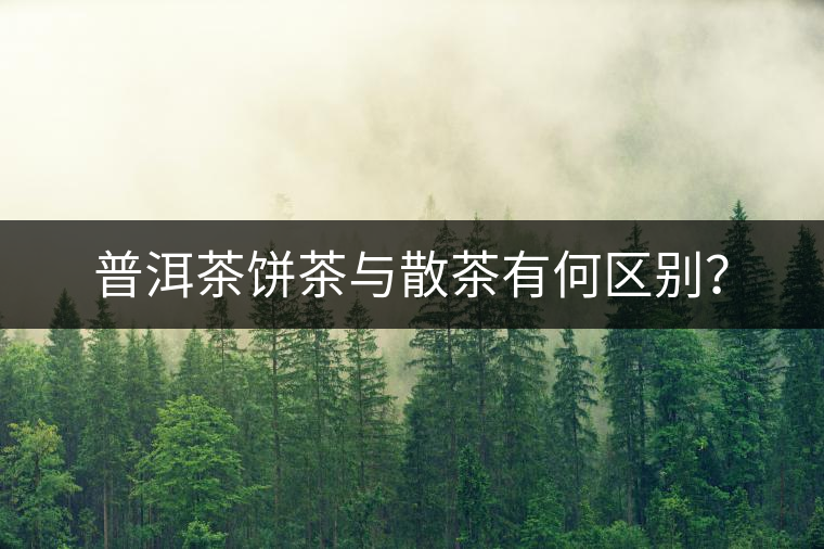 普洱茶餅茶與散茶有何區(qū)別？