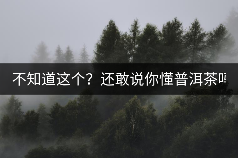 不知道這個(gè)？還敢說你懂普洱茶嗎？