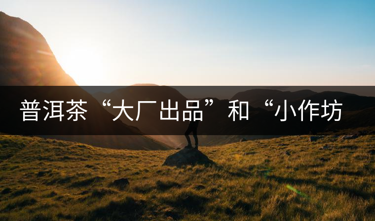 普洱茶“大廠出品”和“小作坊”，哪一個更值得購買？