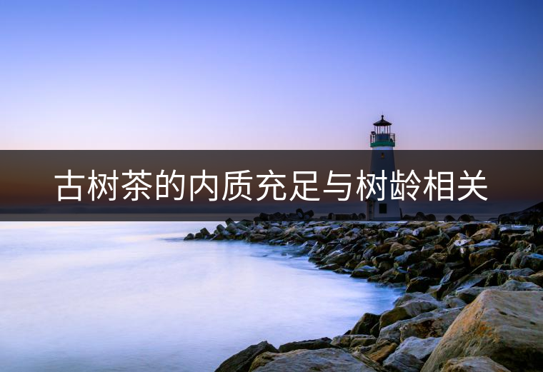 古樹茶的內(nèi)質(zhì)充足與樹齡相關 古樹茶的內(nèi)質(zhì)充足與樹齡相關