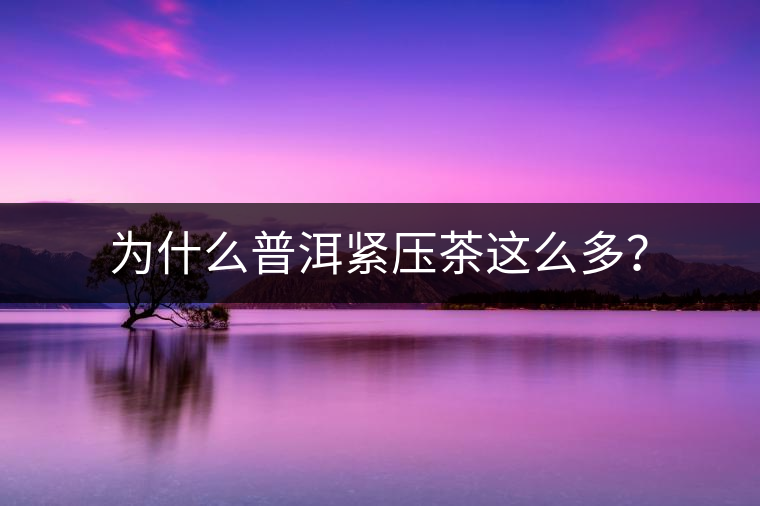 為什么普洱緊壓茶這么多？