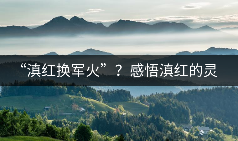 “滇紅換軍火”？感悟滇紅的靈與性！