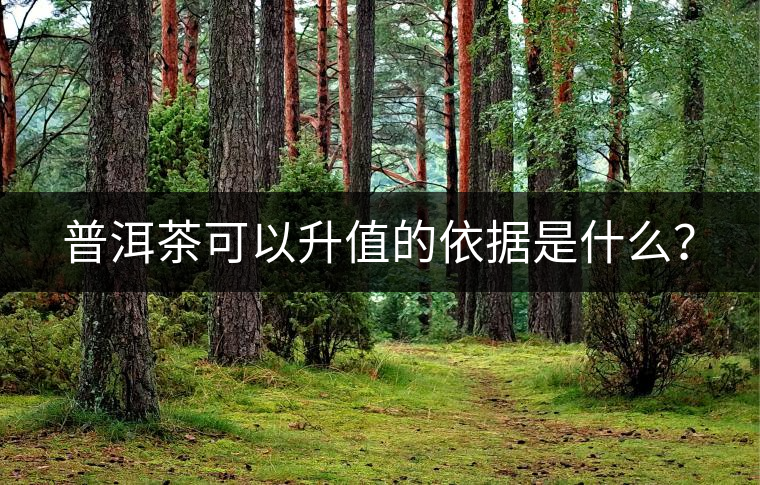 普洱茶可以升值的依據(jù)是什么？