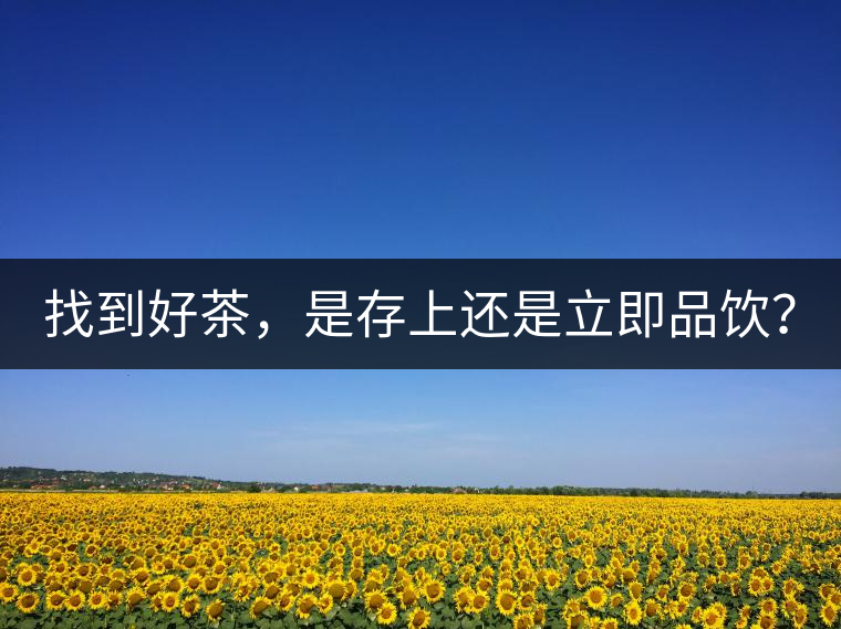 找到好茶，是存上還是立即品飲？