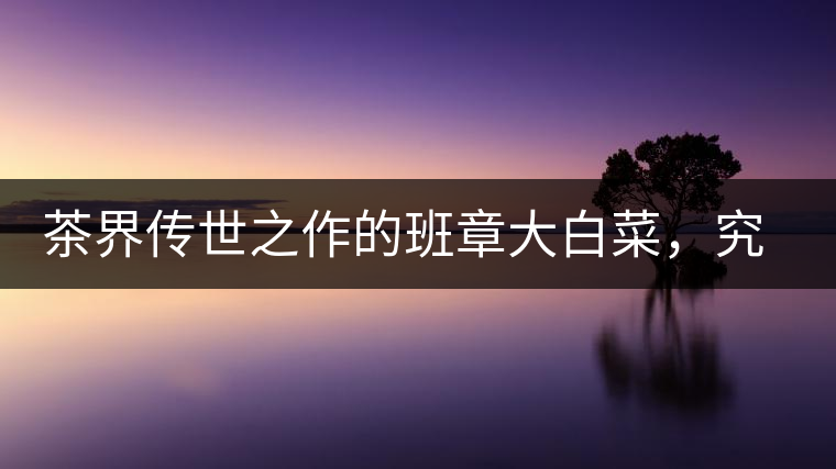 茶界傳世之作的班章大白菜，究竟有什么大來頭？