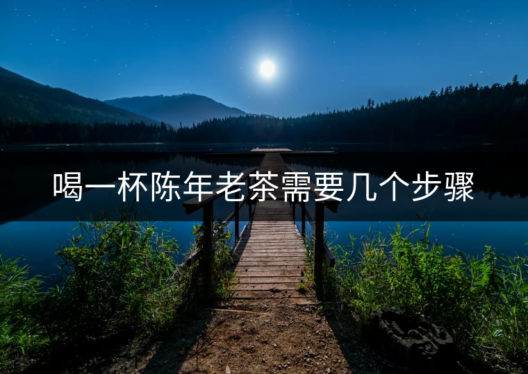 喝一杯陳年老茶需要幾個步驟