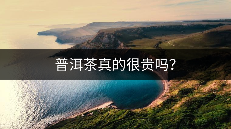 普洱茶真的很貴嗎？