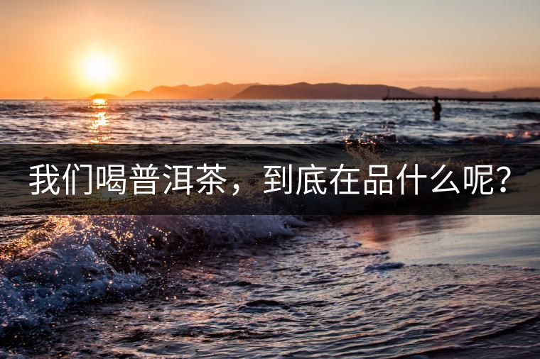 我們喝普洱茶，到底在品什么呢？