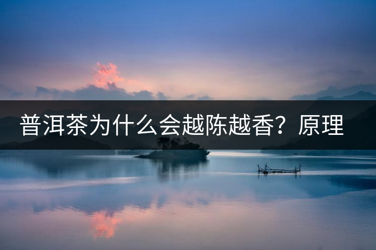 普洱茶為什么會(huì)越陳越香？原理是什么？