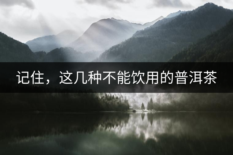 記住，這幾種不能飲用的普洱茶