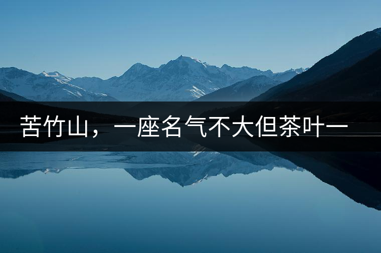 苦竹山，一座名氣不大但茶葉一流的古茶山