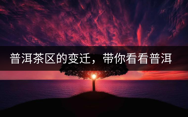 普洱茶區(qū)的變遷，帶你看看普洱茶地域分布