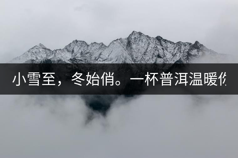 小雪至，冬始俏。一杯普洱溫暖你的冬天！