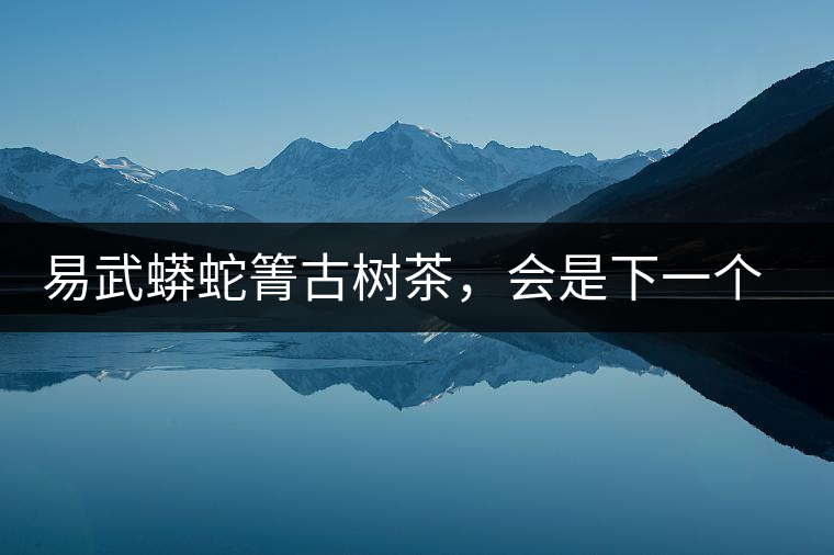 易武蟒蛇箐古樹茶，會是下一個銅箐河嗎？