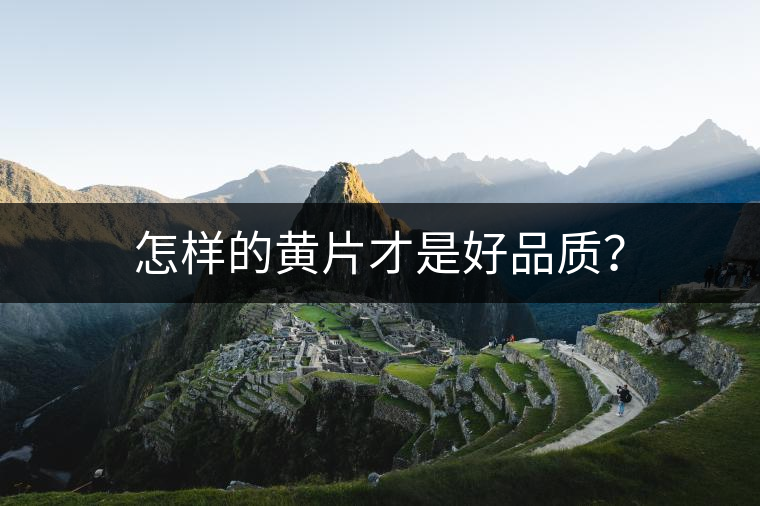 怎樣的黃片才是好品質？