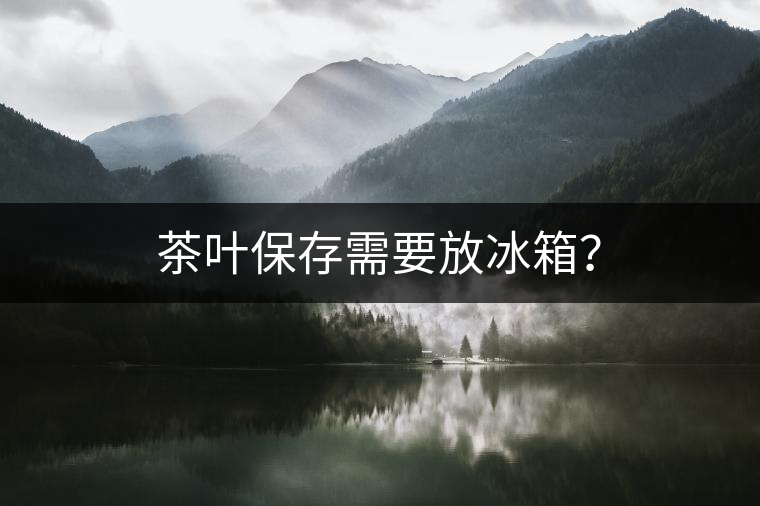 茶葉保存需要放冰箱？