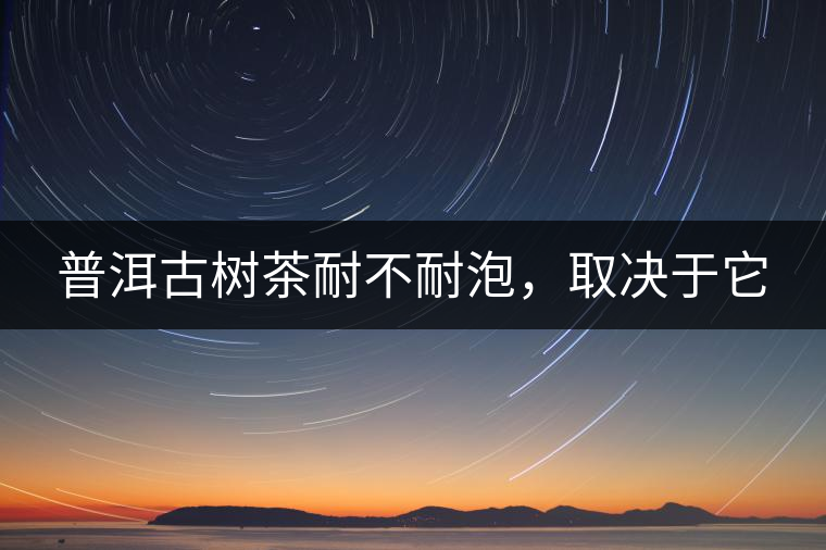 普洱古樹茶耐不耐泡，取決于它