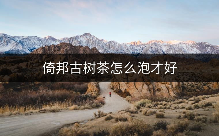 倚邦古樹(shù)茶怎么泡才好 倚邦古樹(shù)茶怎么泡才好