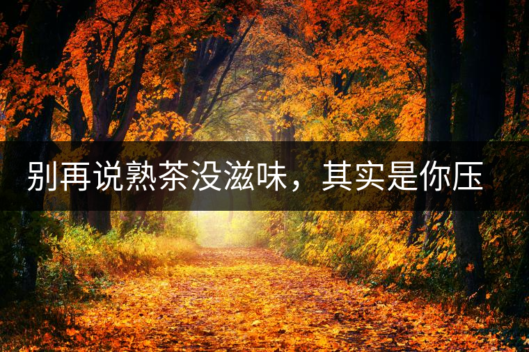 別再說熟茶沒滋味，其實(shí)是你壓根沒喝懂