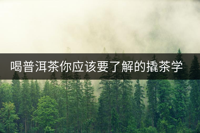 喝普洱茶你應(yīng)該要了解的撬茶學(xué)問(wèn)