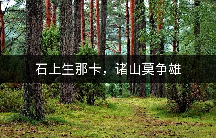 石上生那卡，諸山莫爭雄