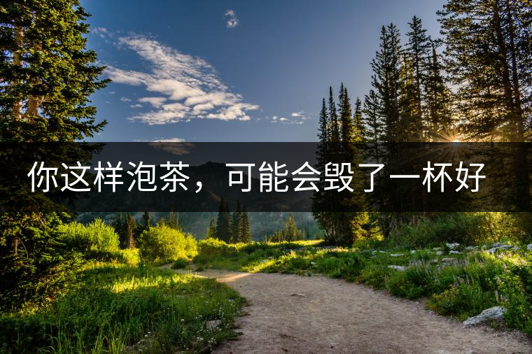 你這樣泡茶，可能會毀了一杯好茶