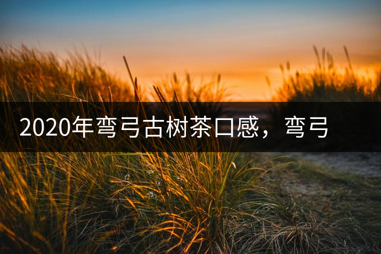 2020年彎弓古樹茶口感，彎弓普洱茶價(jià)格特點(diǎn)