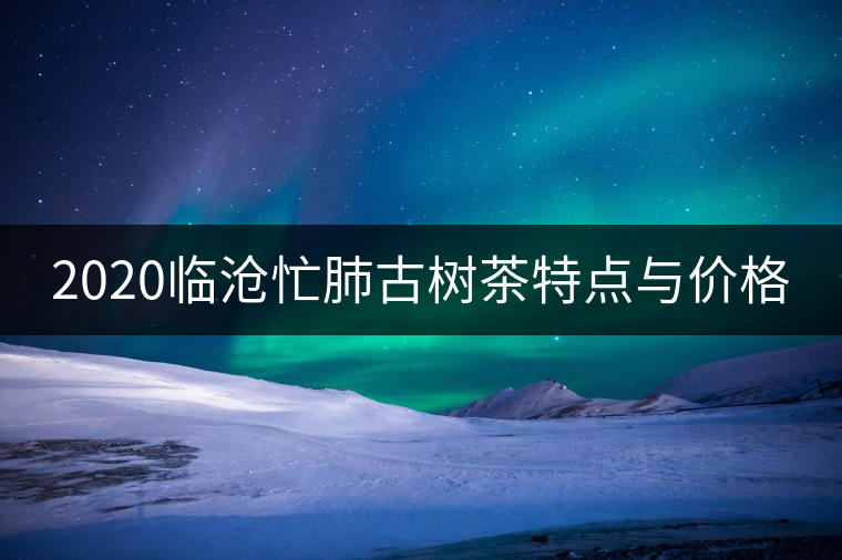 2020臨滄忙肺古樹茶特點(diǎn)與價(jià)格 2020臨滄忙肺古樹茶特點(diǎn)與價(jià)格